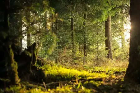 Experiences in Slovenia for motorists